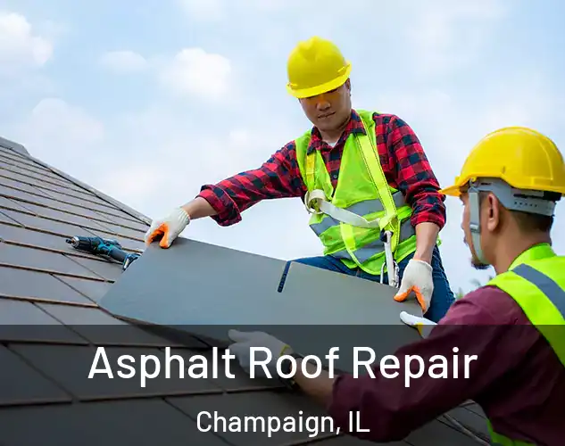  Asphalt Roof Repair Champaign, IL
