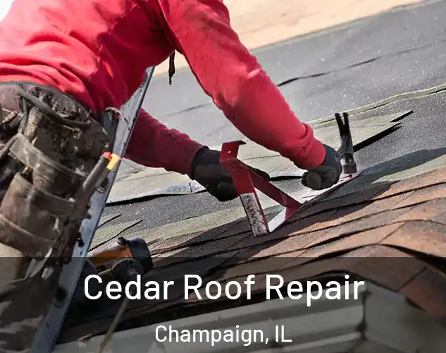  Cedar Roof Repair Champaign, IL