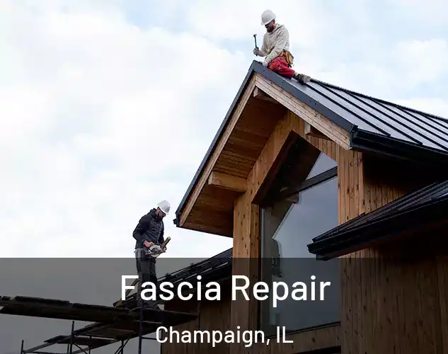  Fascia Repair Champaign, IL