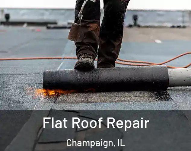  Flat Roof Repair Champaign, IL