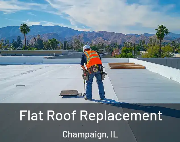  Flat Roof Replacement Champaign, IL
