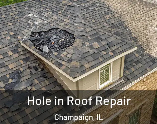  Hole in Roof Repair Champaign, IL