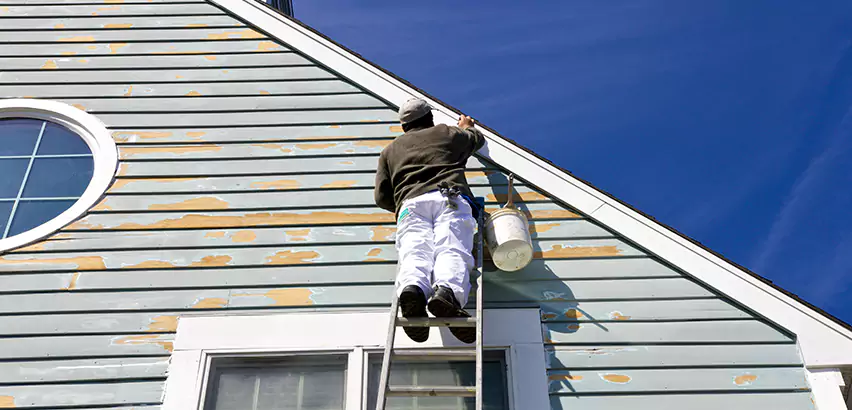 Professional Roof and Siding Repair Services in Champaign, IL