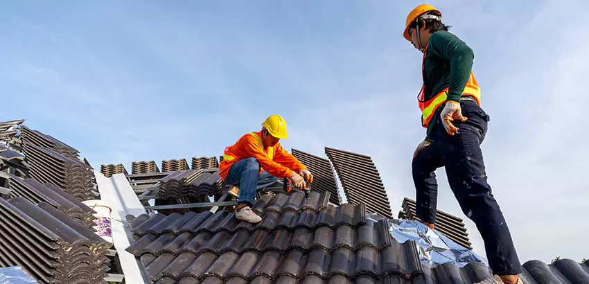 Professional Roofing Services in Champaign, IL