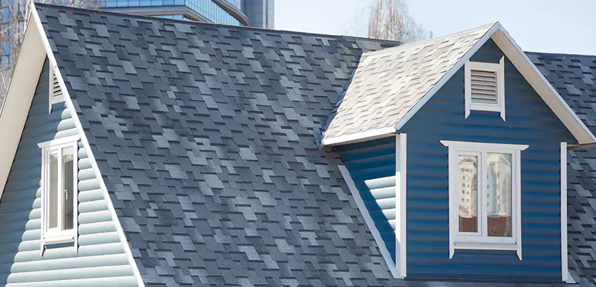 Shingle Roof Maintenance in Champaign