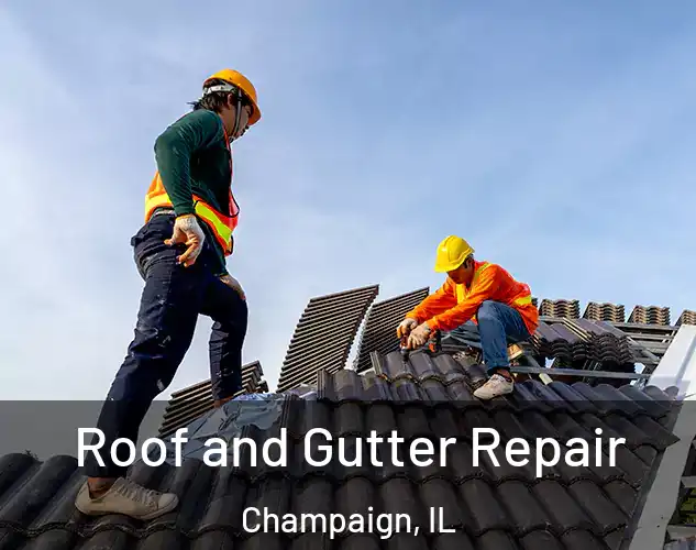  Roof and Gutter Repair Champaign, IL