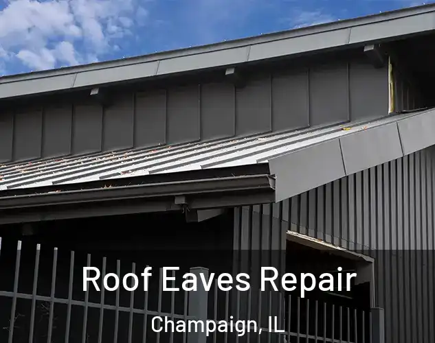  Roof Eaves Repair Champaign, IL