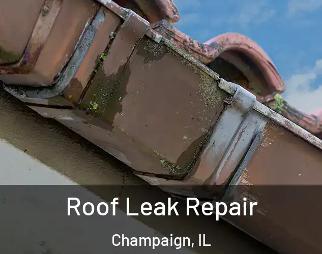  Roof Leak Repair Champaign, IL