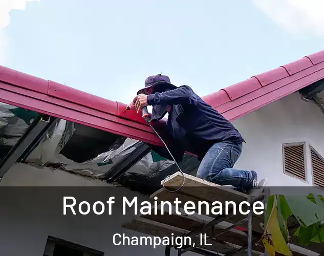  Roof Maintenance Champaign, IL