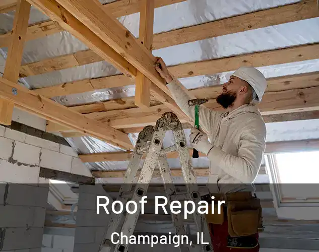  Roof Repair Champaign, IL