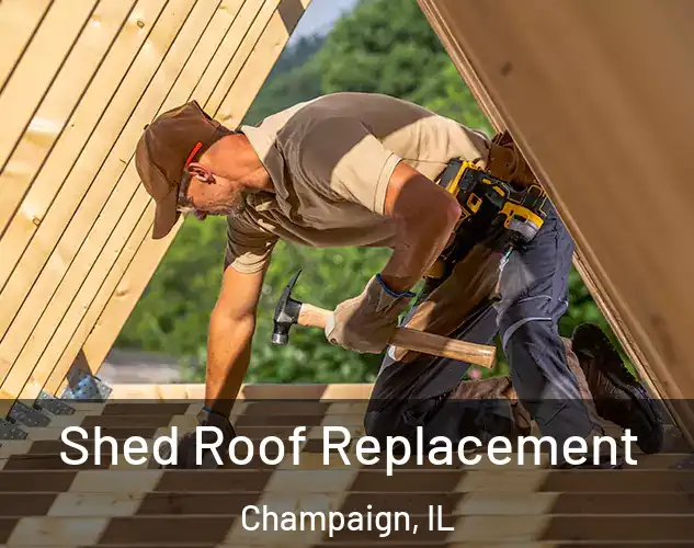  Shed Roof Replacement Champaign, IL