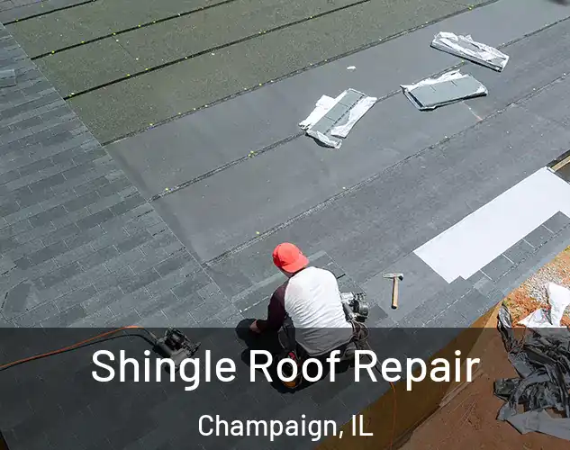  Shingle Roof Repair Champaign, IL