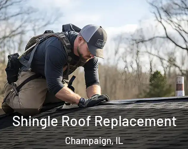  Shingle Roof Replacement Champaign, IL